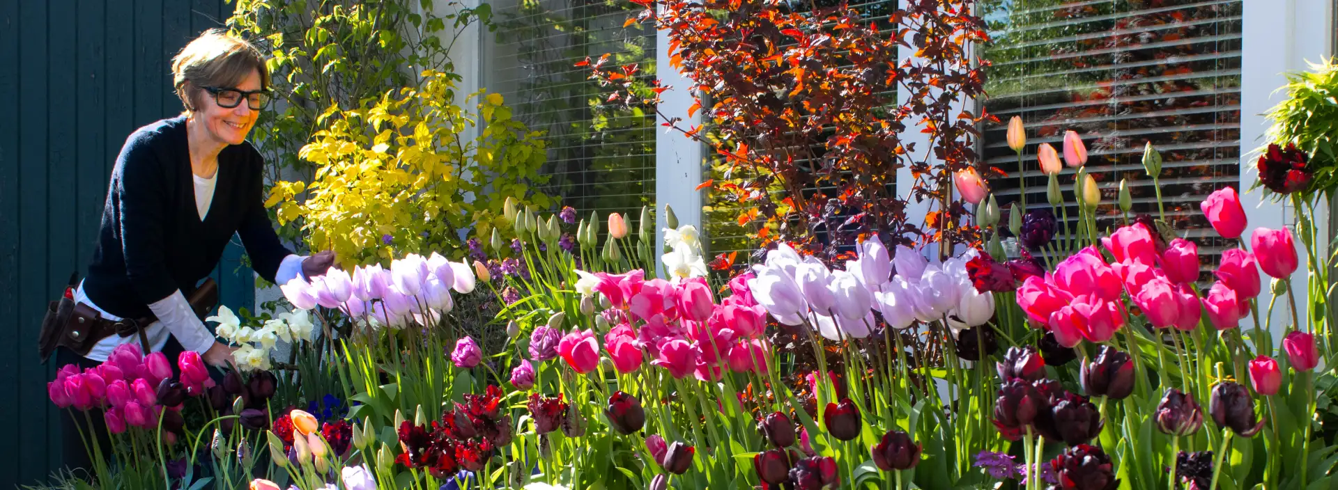 Other Experience Talk Banner