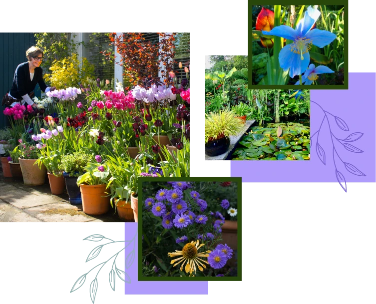 Ardán Garden experience