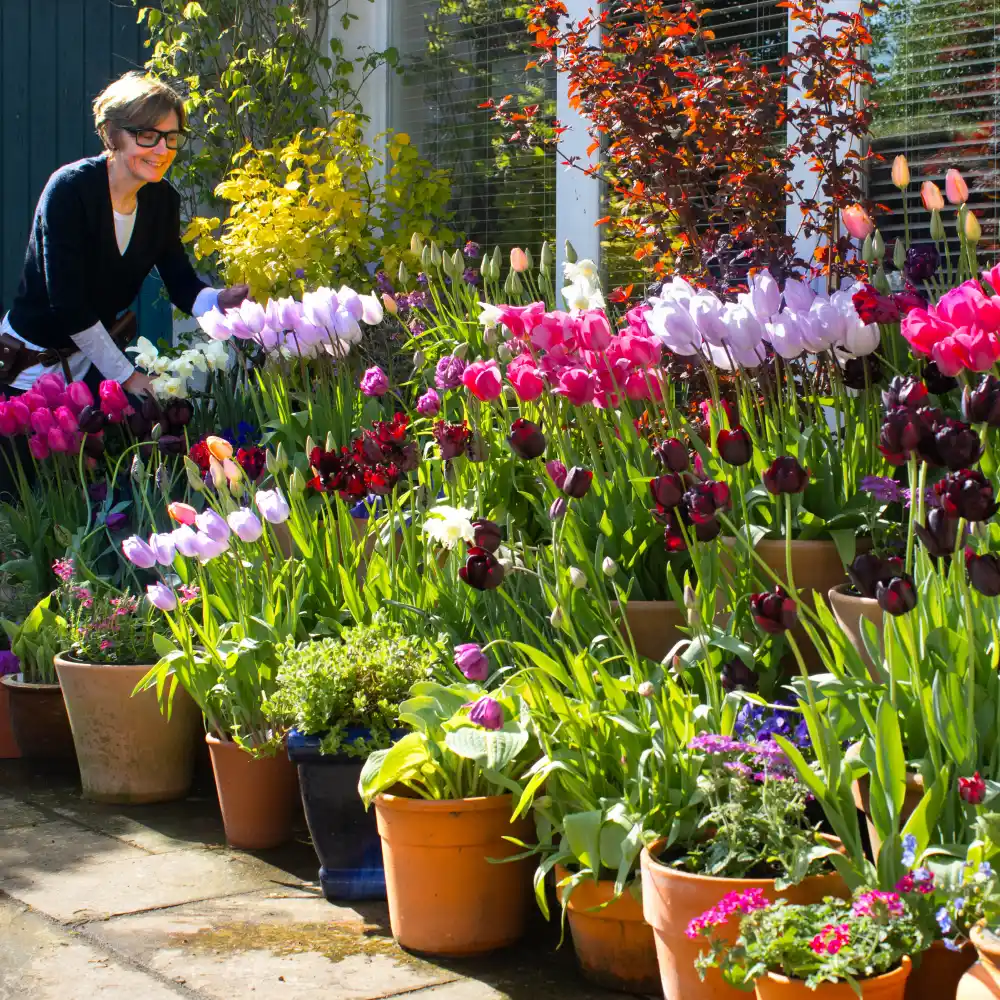 Pot Display from kitchen table