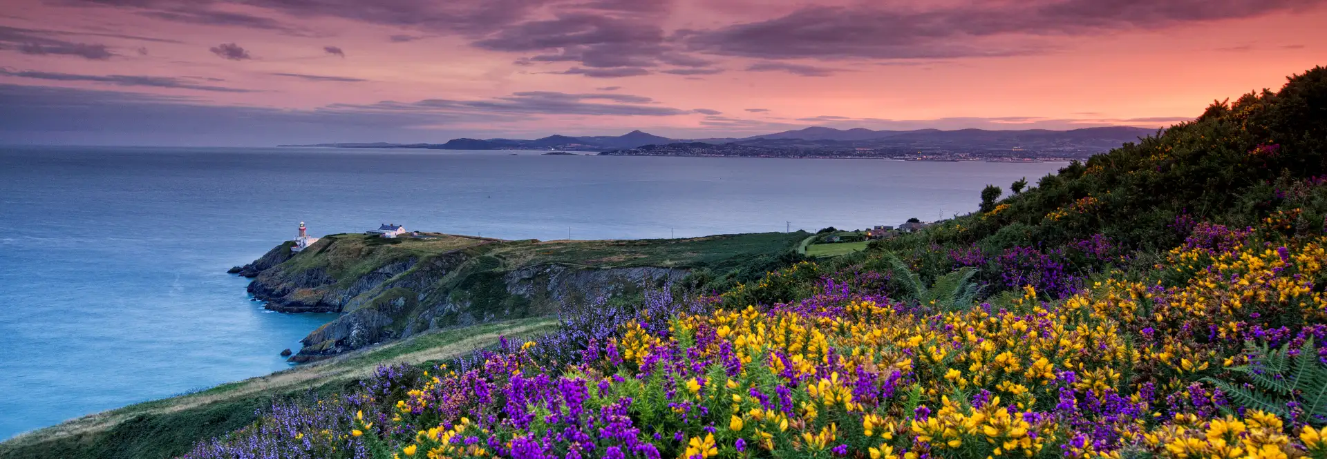 Page Not Found Banner