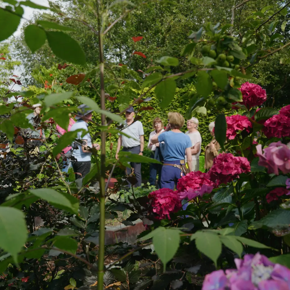 Frequently Asked Questions about Ardán Garden