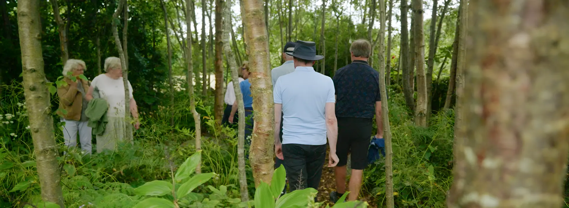 Friends Day Out Banner