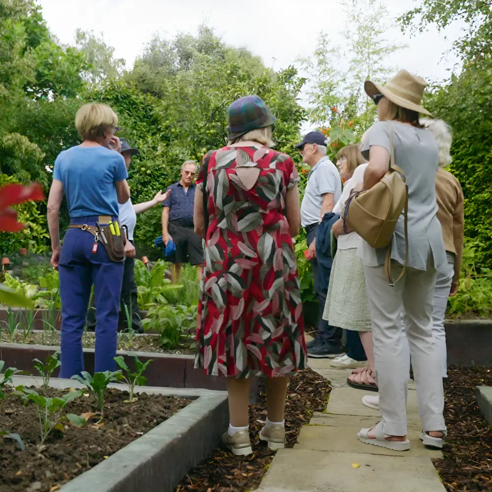 Friends Day Out Experience