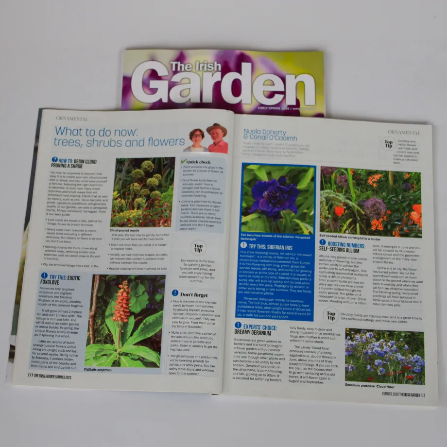 The Irish Garden Magazine
